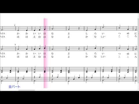 ＢＣ009エーデルワイス（全パート）