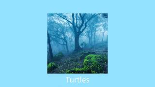 Turtles