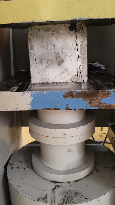 Dekhun Ki Vabe Cube Tasting Hoi #shorts #shortsfeed