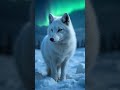 Snow Fox Walking #ArcticFox#SnowHunter#FrozenWildlife#AIAnimals #fox #shorts