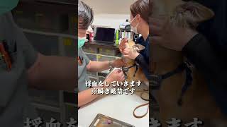 スー先生流7秒で終わらせる採血のテクニック#shorts