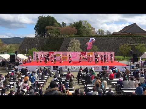姫龍ｚ　2018篠山よさこいまつり4/15(日)　三の丸会場