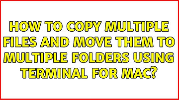 How to copy multiple files and move them to multiple folders using terminal for Mac?
