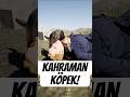 Kahraman Savaş Köpeği 😮