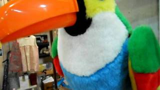 Talking Bird Toy screenshot 3