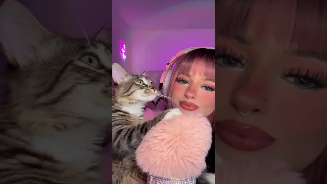 Relaxing Purring & Kneading Kitty ASMR