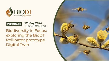 Biodiversity in Focus: exploring the BioDT Pollinator prototype Digital Twin