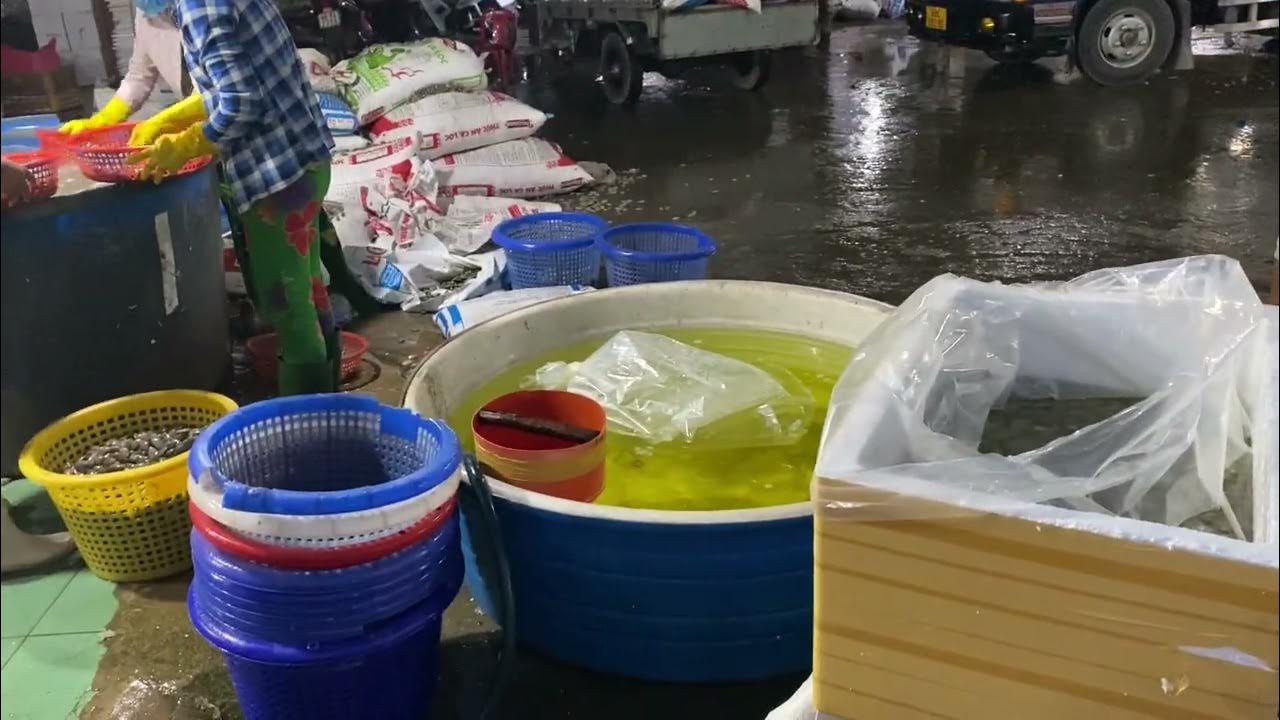 How to keep clams alive while in transit? YouTube