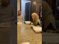 تلاوة القران الكريم داخل سفارة ماليزيا