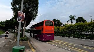 シンガポールでのバスの乗り方　How to get on a bus in Singapore  איך לעלות על אוטובוס בסינגפור screenshot 5