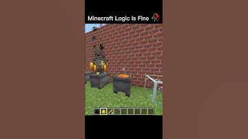 Minecraft Logic Is Fine 🥀 #minecraft #shorts