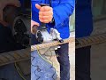 cutting a thick rebar automatically using an electric portable steel bar cutter machine closely