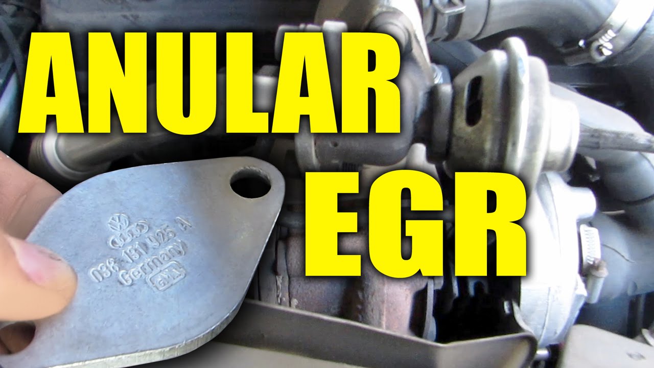 Válvulas turbo / EGR Limpiador de válvulas EGR para motores diesel