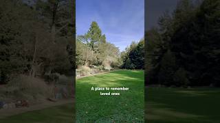 A place to remember loved ones in Golden Gate Park. Full walk in video (below)