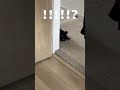 ハッ！視線！！！