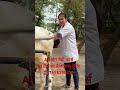 Artificialinsemination प र क ट कल ट र न ग Ai PD प र थम क उपच र स ख