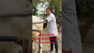 #artificialinsemination #प्रैक्टिकल #ट्रैनिंग #Ai #PD #प्राथमिक उपचार #सीखें screenshot 3