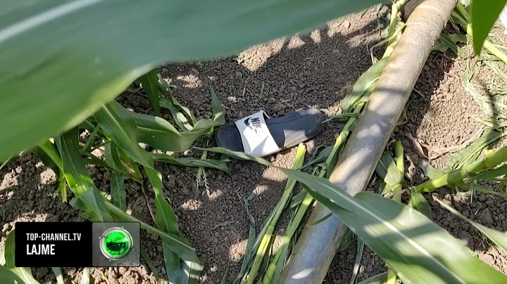 Top Channel/ Ra në kontakt me rrymën elektrike duke punuar tokën, humb jetën 31-vjeçari në Divjakë