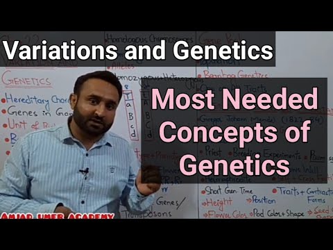 Variation and Genetics | Genes and Alleles | Genotype and Phenotype | Jumping Genes | Gregor Mendel