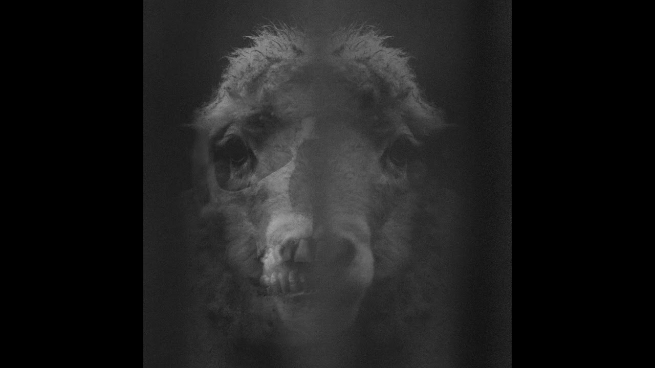 Trømmel - New Slaves / (NDR003)