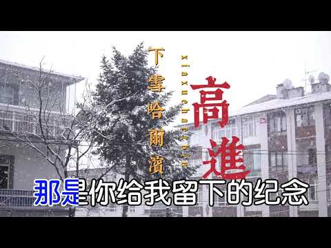 【年華似水如烟  誰能再來一遍】#下雪哈爾濱#高進#痘印最火音樂#最新音樂#一個人的音樂