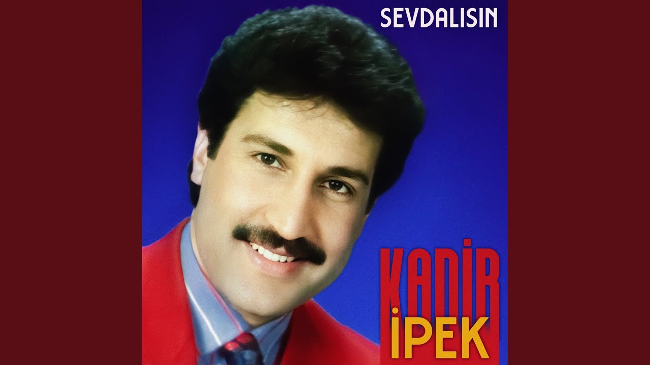 Sevdalısın