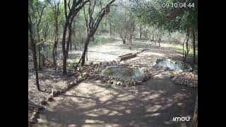 2024-05-09 Backyard Time-lapse