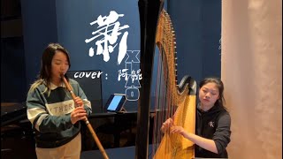鹤唳华亭X箫&竖琴萧Xiaocover阿鲲Roc Chenroyal Nirvana