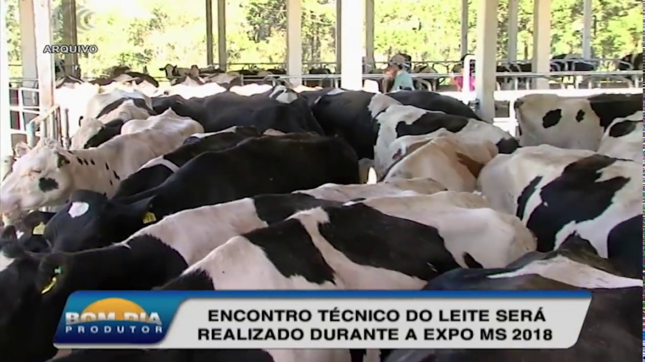 Encontro Técnico do Leite será realizado durante a Expo MS 2018 - YouTube