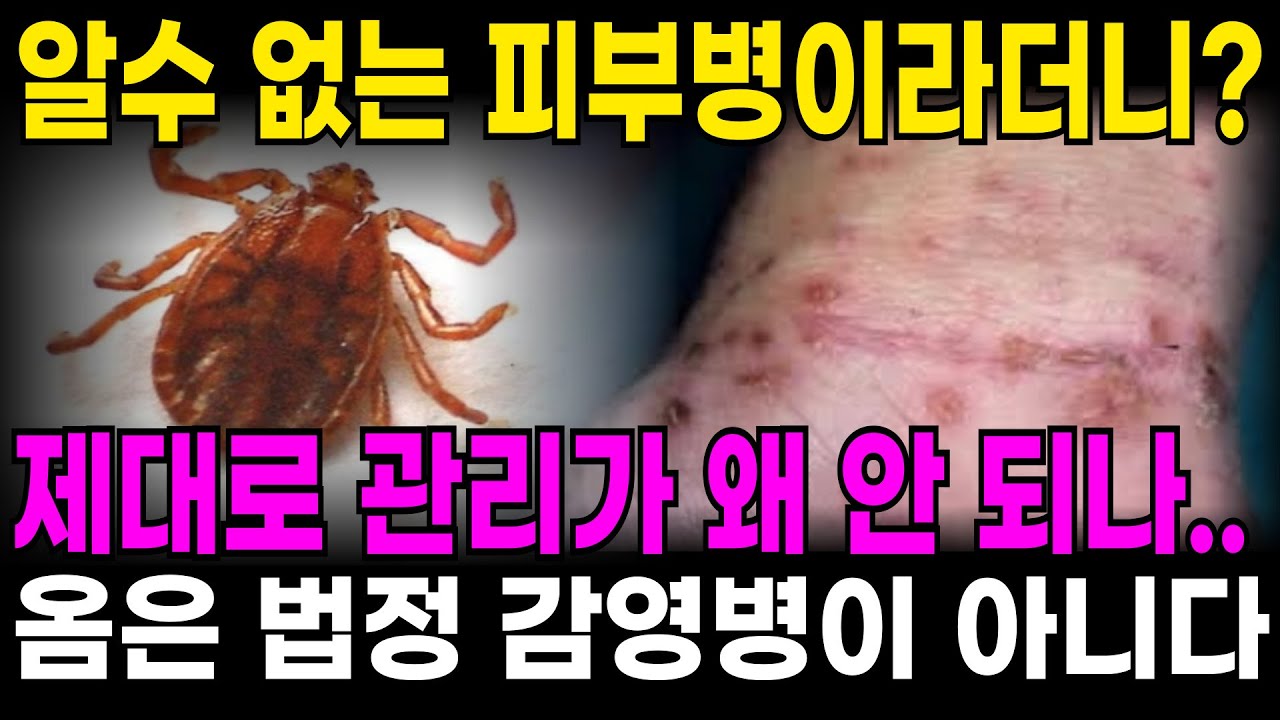 집단 피부병