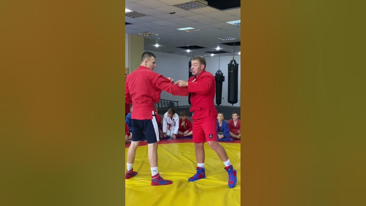 Братья Лебедевы самбо