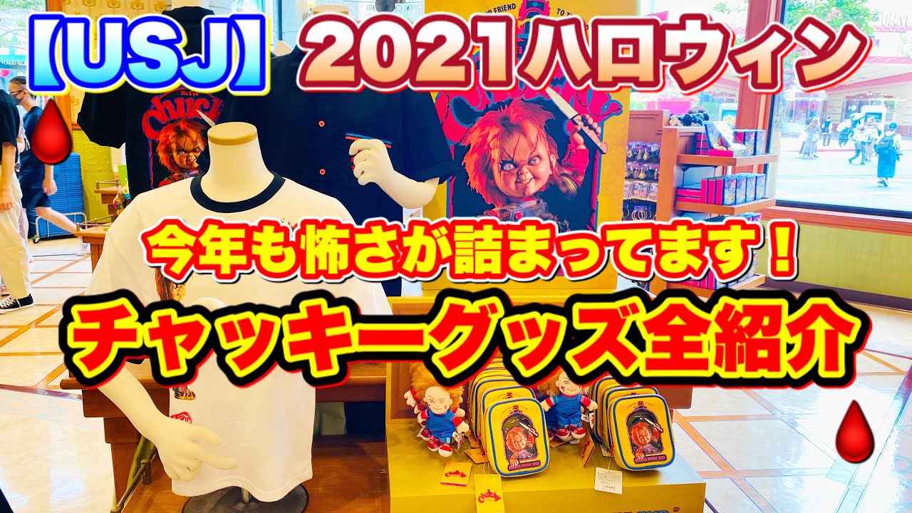 動画を再生