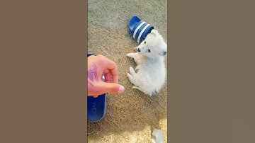 my first video on YouTube please like and subscribe my channel 🙏🥺 #viral  #subscribe #shorts #viral