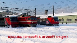 JR貨物 五稜郭 EH800形 & DF200形 Freight !