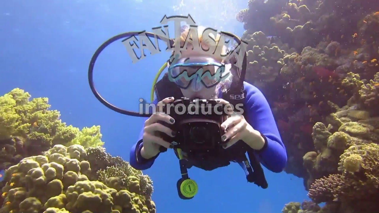 Fantasea Line Video Loop for shows