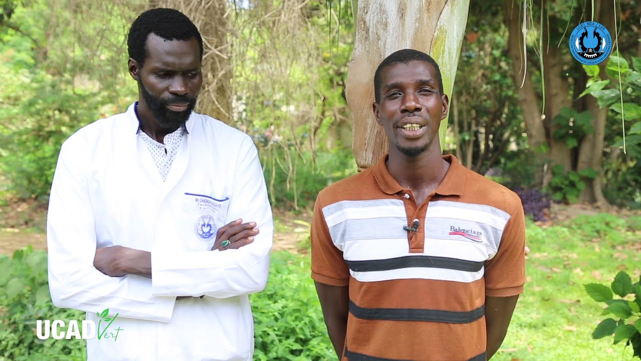 UCAD VERT - JARDIN BOTANIQUE : Un laboratoire à ciel ouvert