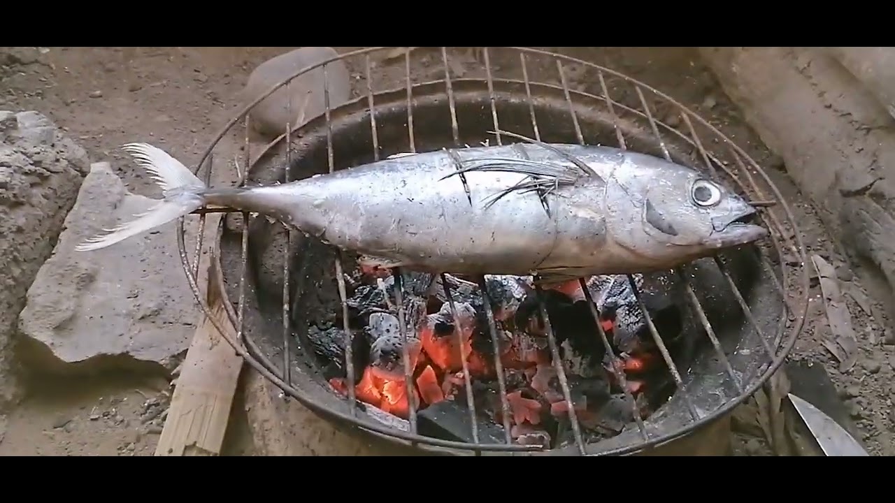 GRILLED YELLOW FIN TUNA YouTube