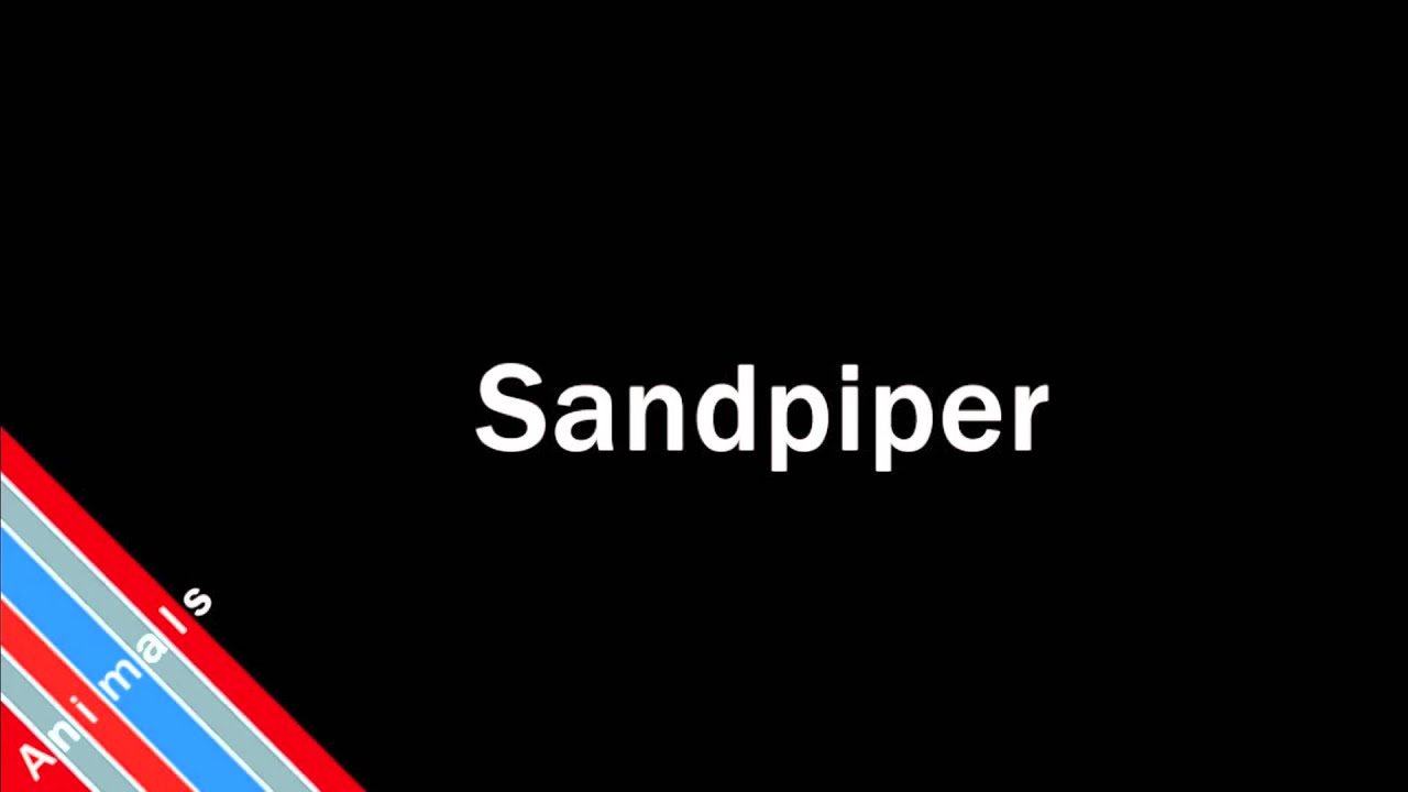 video phone beyonce mp3 How to Pronounce Sandpiper