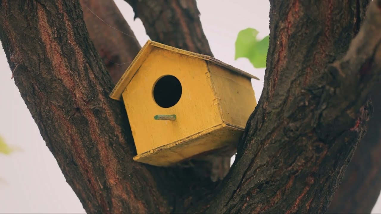 80 Projetos de Casinhas de Passarinho  Para se Inspirar