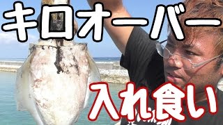 【入れ食い】所持金0円で釣り生活　12話【伊是名島編】