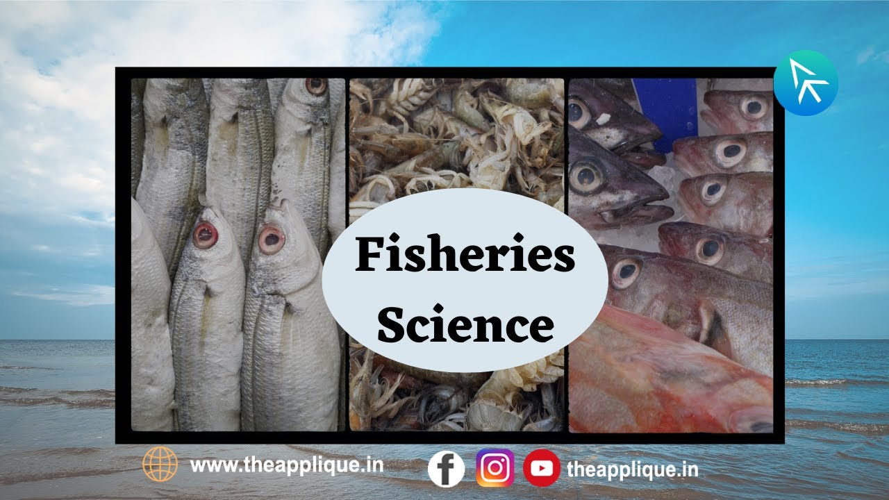 Fisheries Science | FYI | The Applique