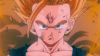 Gohan Was Done Dirty