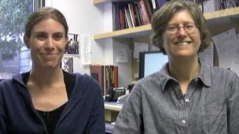 Retinal Direction Selectivity Is Reversed by Visual Stimulation