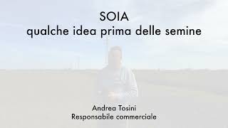 Soia, Qualche Idea Prima Delle Semine