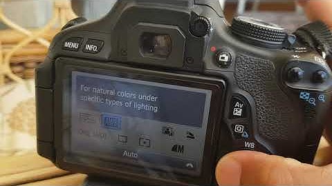 Camera tutorial - program Mode Canon Brand