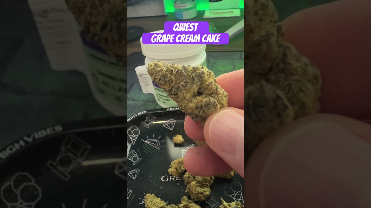 Qwest | Grape Cream Cake | First Look 👀