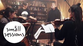 Strange Boy - How Come That Blood | Småll Sessions