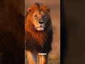 lion king👑 history #love #lion #lage #like #live #lovestatus #viral #viralmusic #viralvideo #baresh