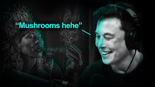 Elon Musk's Psychedelic Secret 🍄