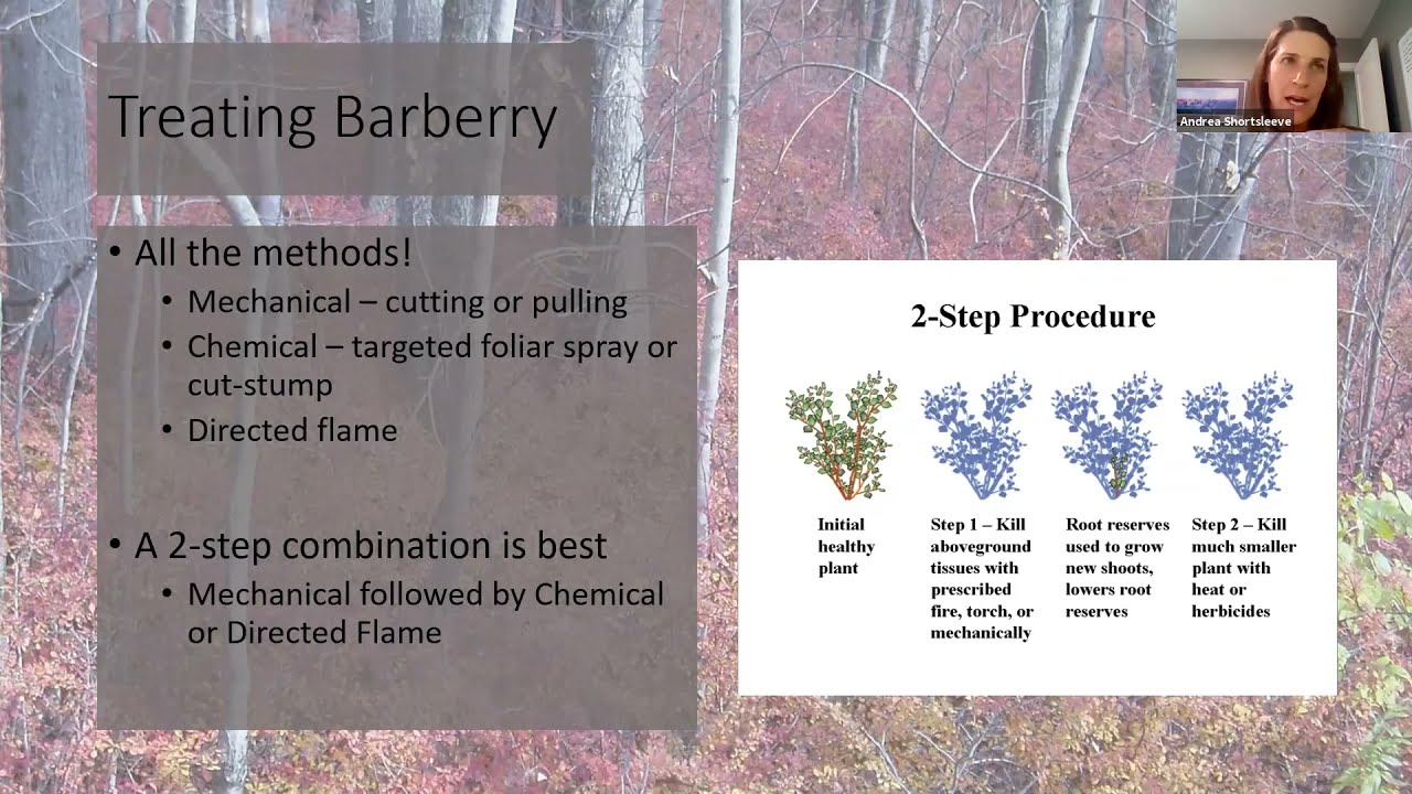 WOW Invasives Discussion - Part 2